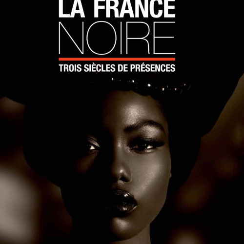 Couverture du livre La France noire